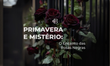 PRIMAVERA E MISTÉRIO: O ENCANTO DAS ROSAS NEGRAS.